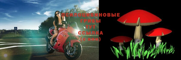 гашик Волоколамск