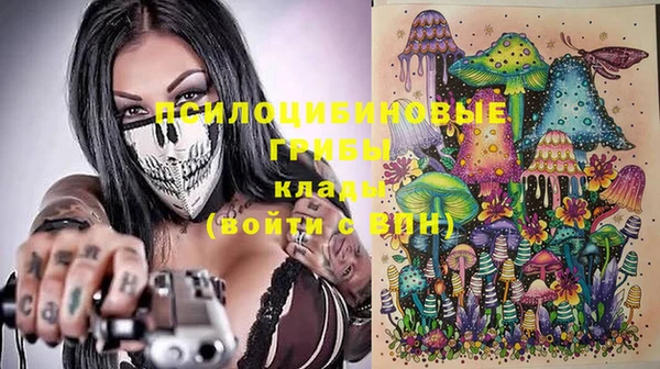сатива Вязьма
