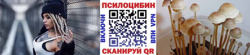 Псилоцибиновые грибы Cubensis  хочу   Задонск 